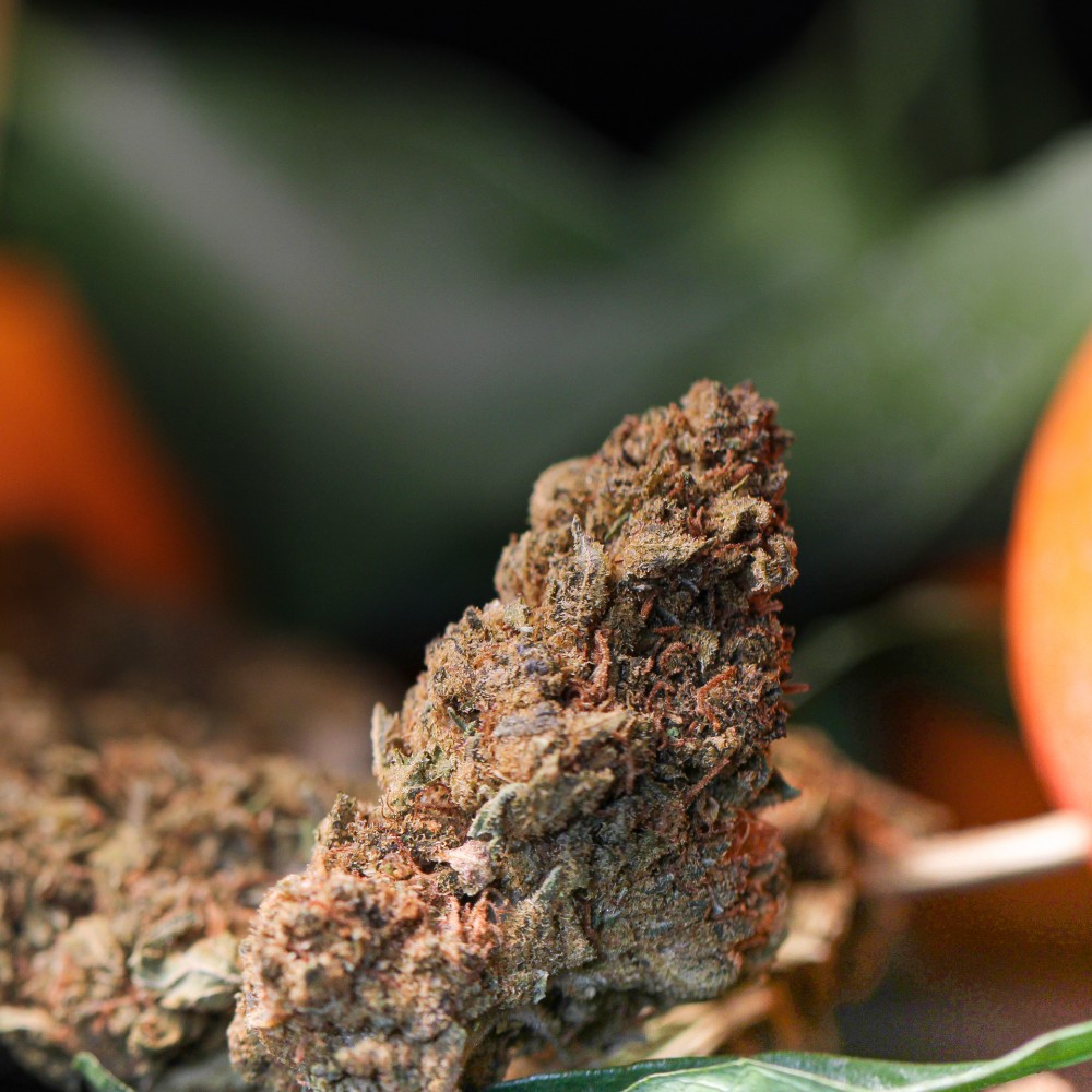 CBD Flowers - ORANGE SKUNK