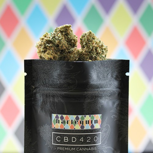 CBD Harlequin