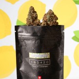 Limoncello CBD