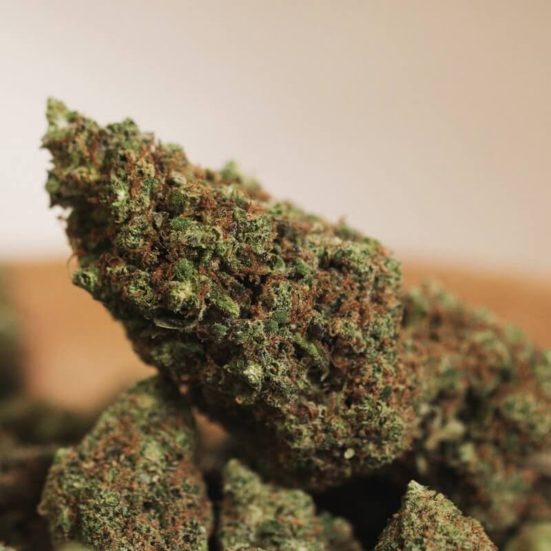 Amnesia CBD