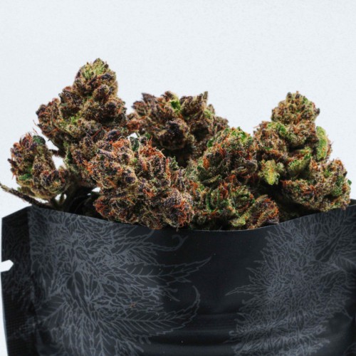 PURPLE PUNCH -  zoom